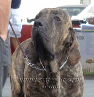 Clique sobre a foto para fechar